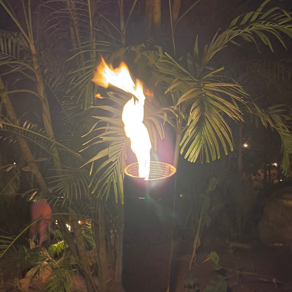 Meet your Posher,  Prissy